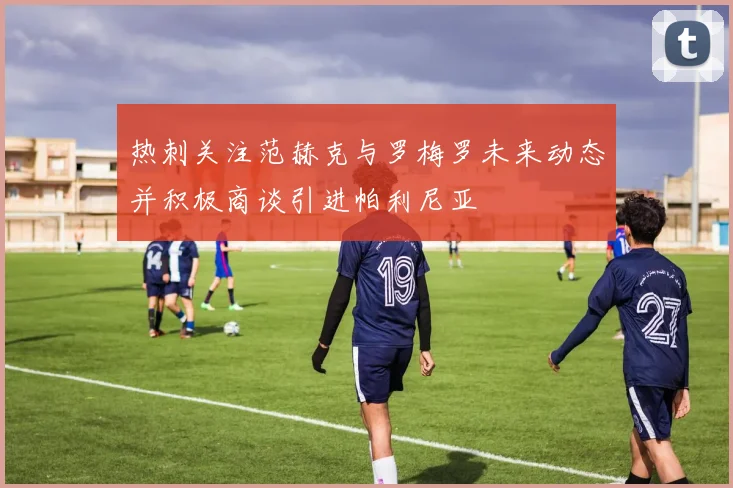 热刺关注范赫克与罗梅罗未来动态并积极商谈引进帕利尼亚